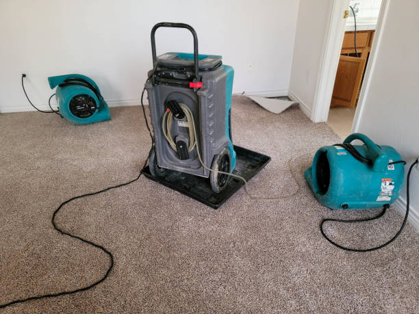 Best Water damage restoration experts  in Brewer, ME