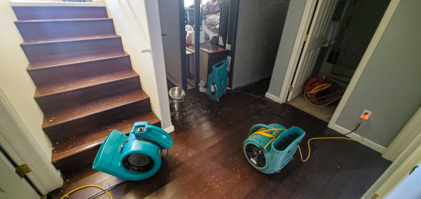 Best Sewage cleanup and water damage restoration  in Brewer, ME