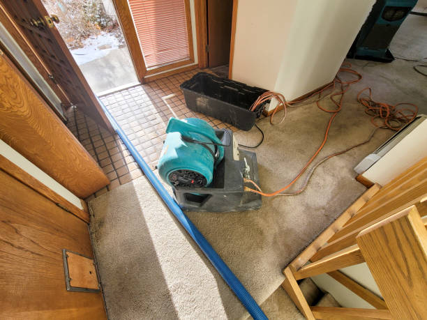 Best Water damage restoration near me  in Brewer, ME