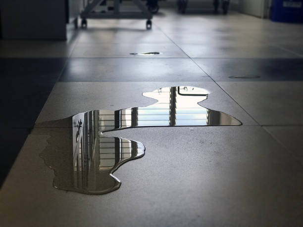 Best Water damage mitigation services  in Brewer, ME