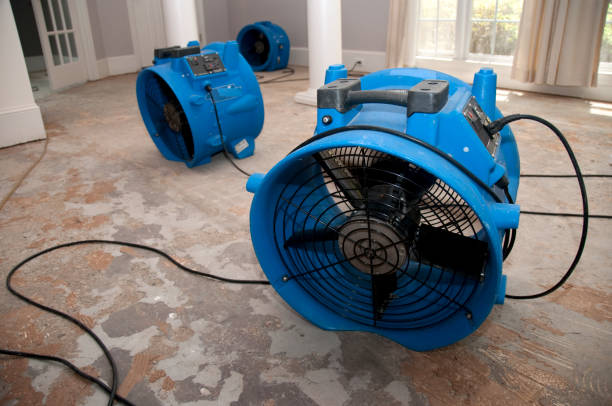 Best Basement water damage restoration  in Brewer, ME