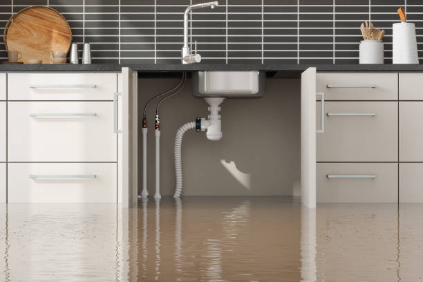 Best Flood damage cleanup  in Brewer, ME