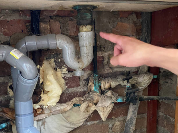 Best Water damage restoration process  in Brewer, ME