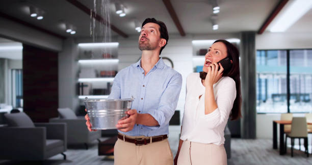 Carpet water damage restoration in Brewer, ME